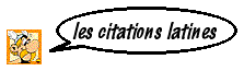 citations latines
